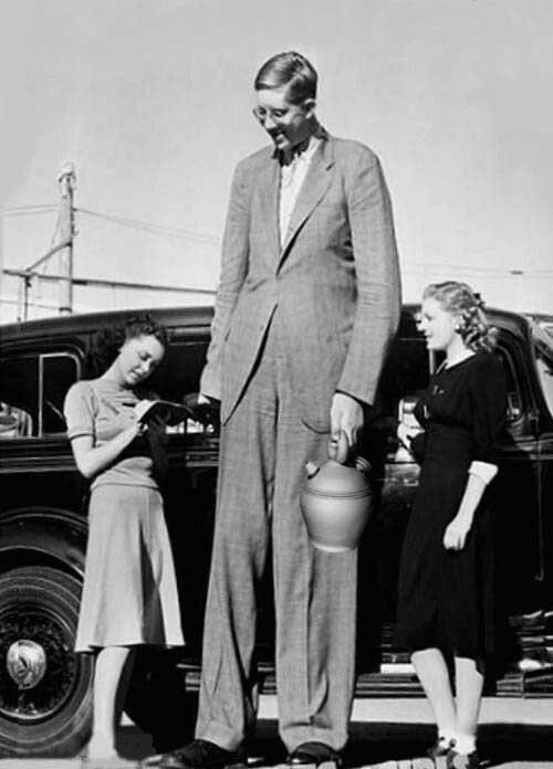 robert wadlow picture